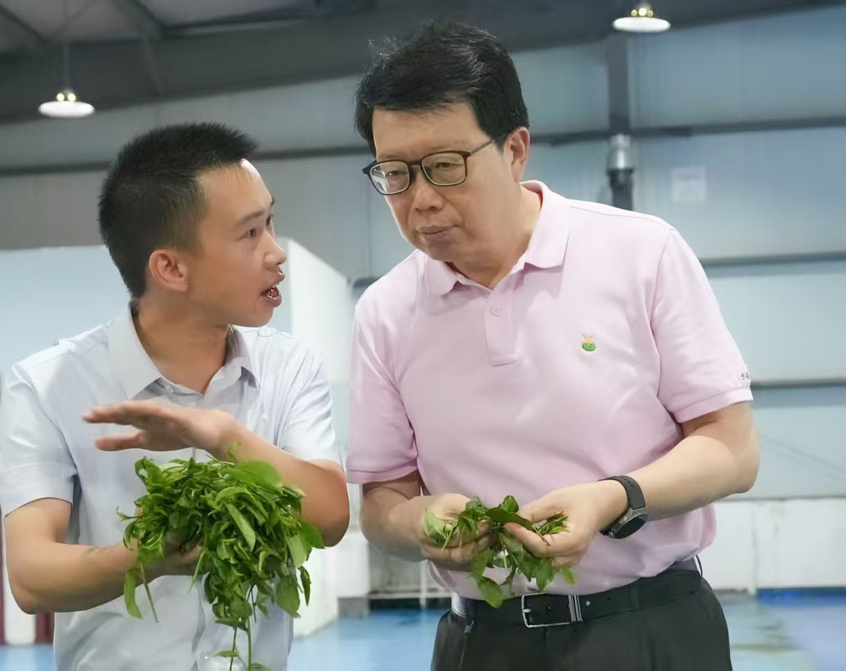 金年会-金年会·jinnian(金字招牌)诚信至上