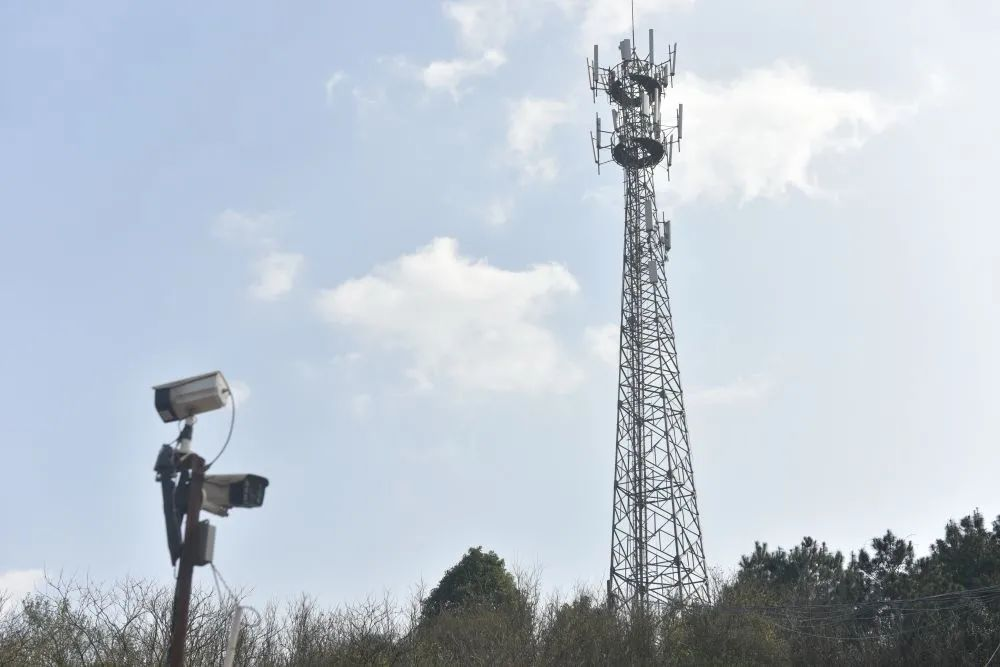 ½ðÄê»á-½ðÄê»á¡¤jinnian(½ð×ÖÕÐÅÆ)³ÏÐÅÖÁÉÏ